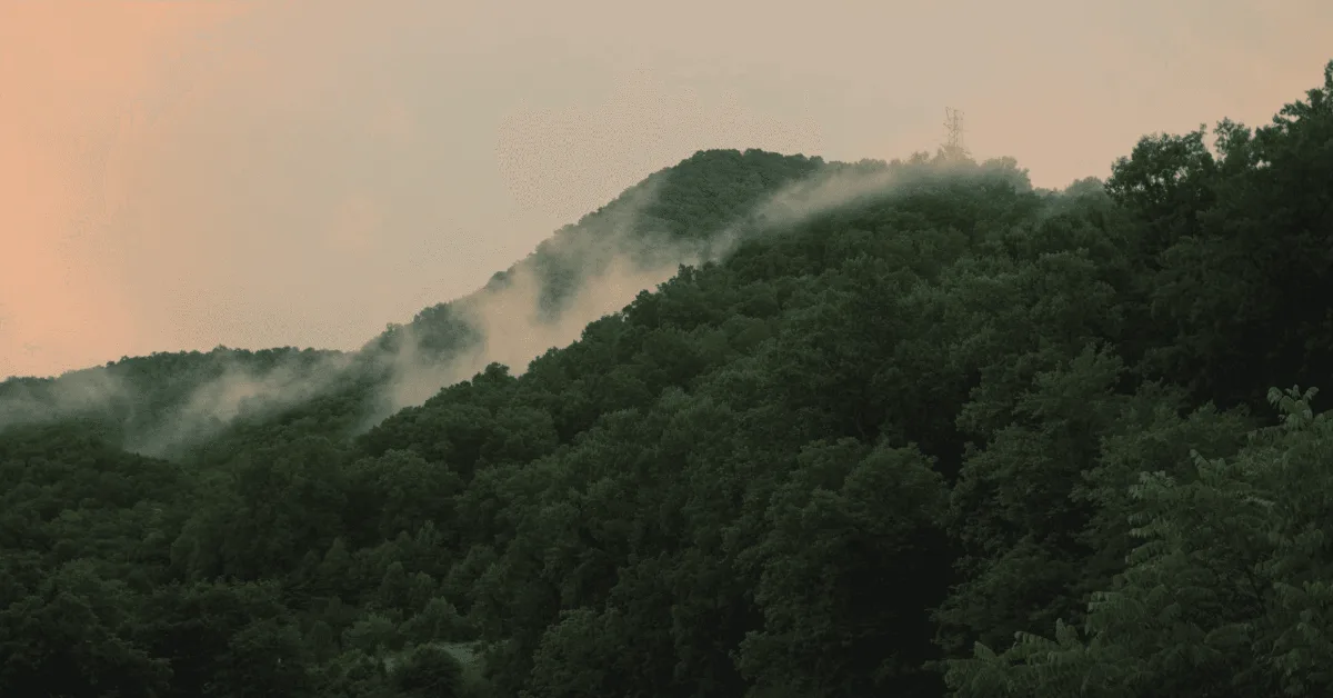 Mist rolling over green Appalachian mountains at dusk.